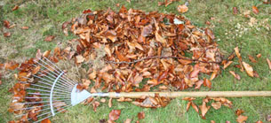 rake-cropped_36dpi.jpg